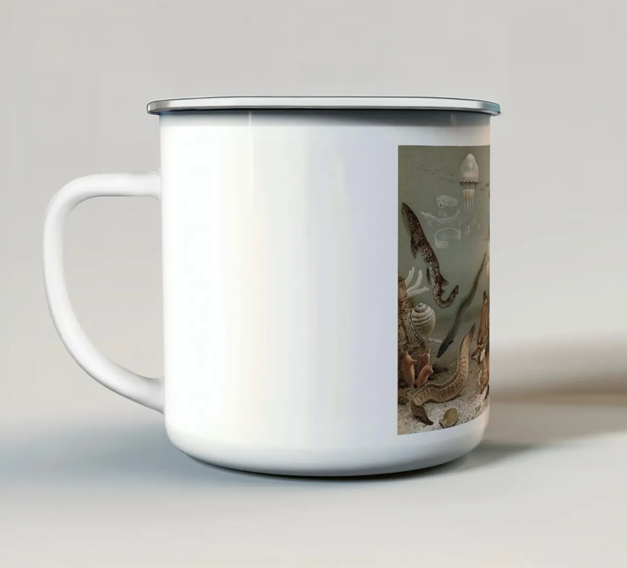 Vintage Meyers 4 Weltmeer Fauna tazza in smalto da Vintage Print Collection