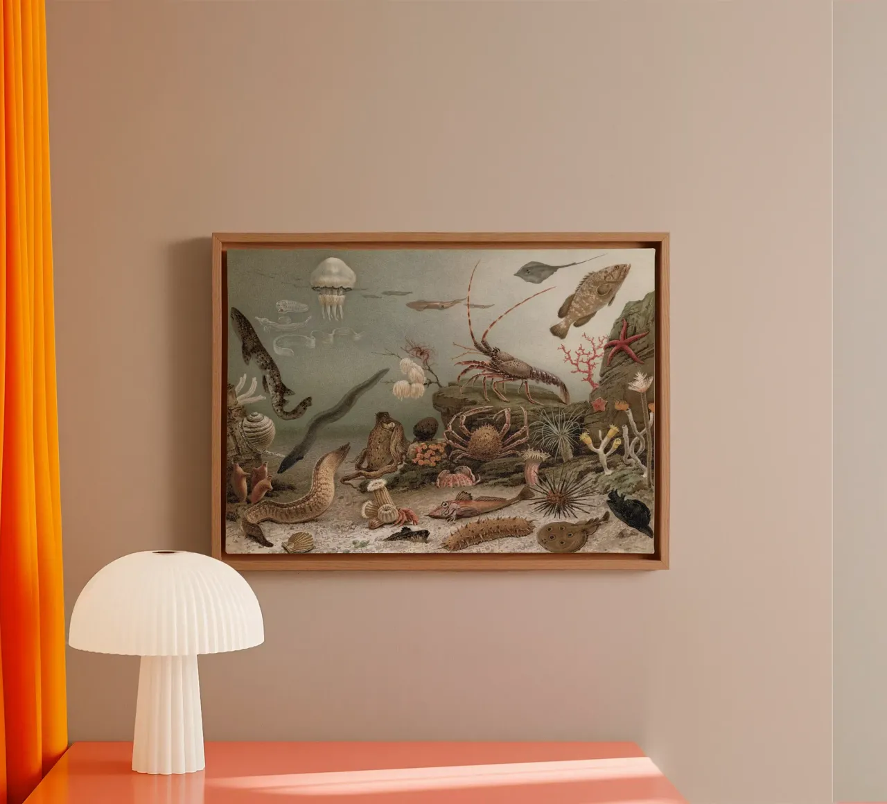Vintage Meyers 4 Weltmeer Fauna canvas met Baklijst van Vintage Print Collection