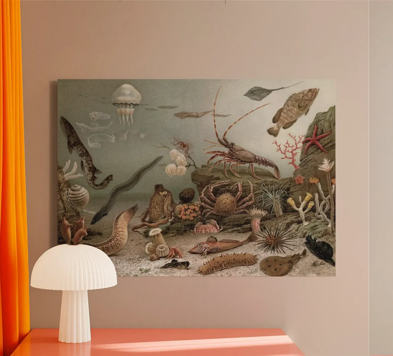 Vintage Meyers 4 Weltmeer Fauna canvas met Baklijst van Vintage Print Collection