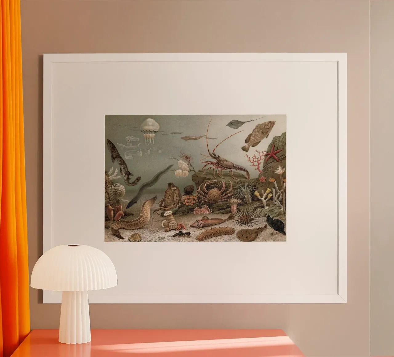 Vintage Meyers 4 Weltmeer Fauna poster con telaio in legno da Vintage Print Collection