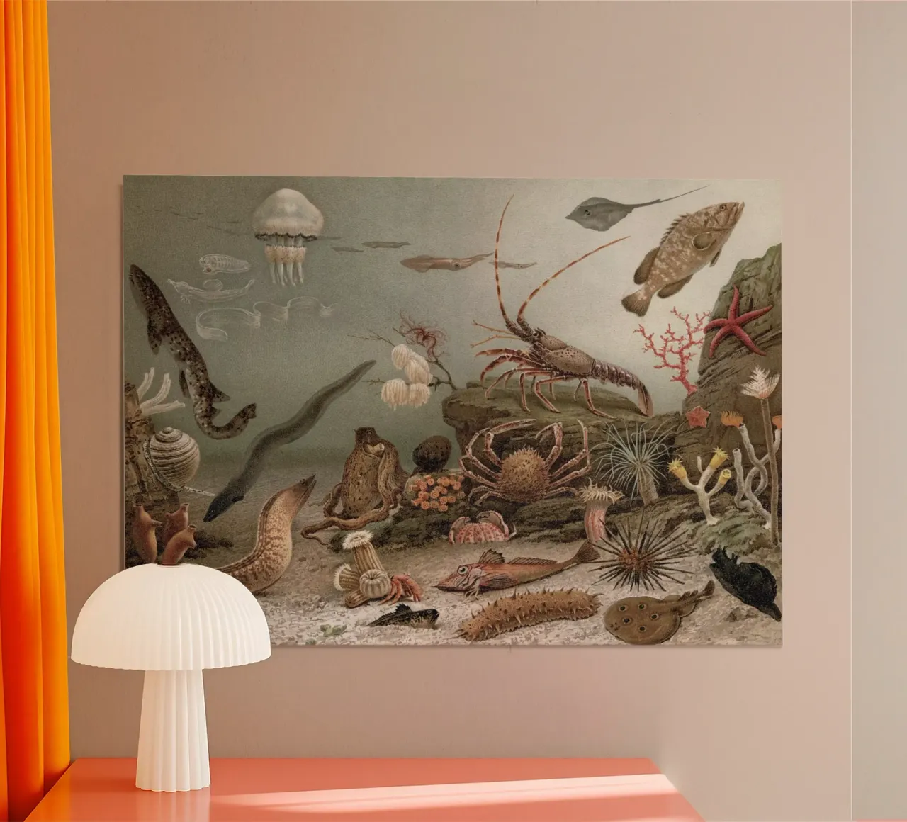 Vintage Meyers 4 Weltmeer Fauna poster con telaio in legno da Vintage Print Collection