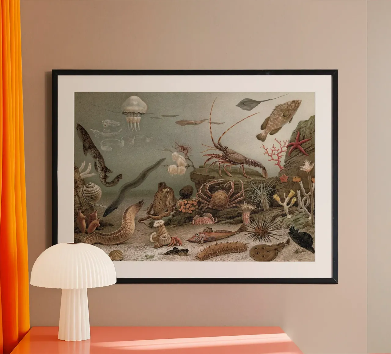 Vintage Meyers 4 Weltmeer Fauna poster con telaio in legno da Vintage Print Collection