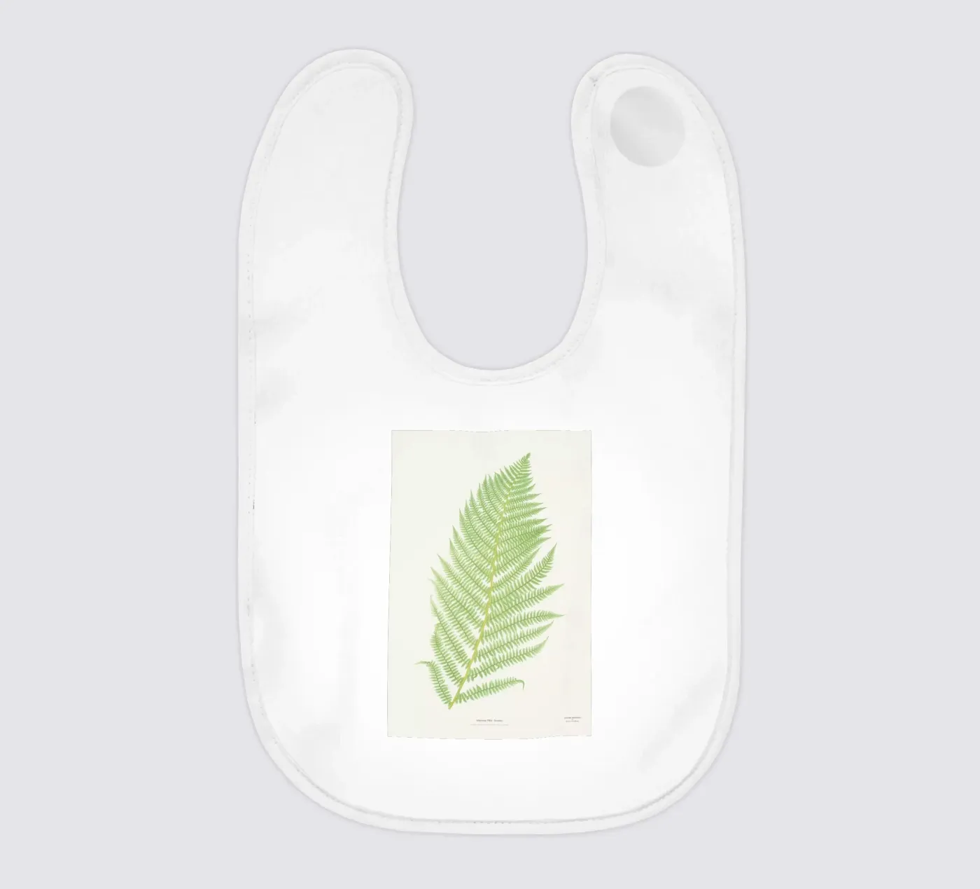 Ferns 2 Babylätzchen von Astër