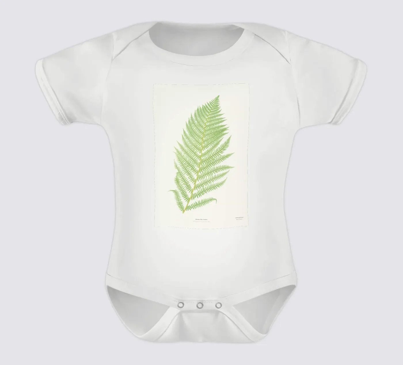 Ferns 2 short-sleeve baby romper by Astër