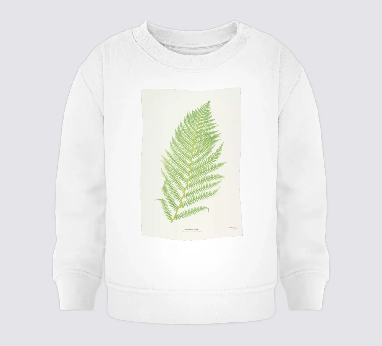 Ferns 2 felpa neonato da Astër