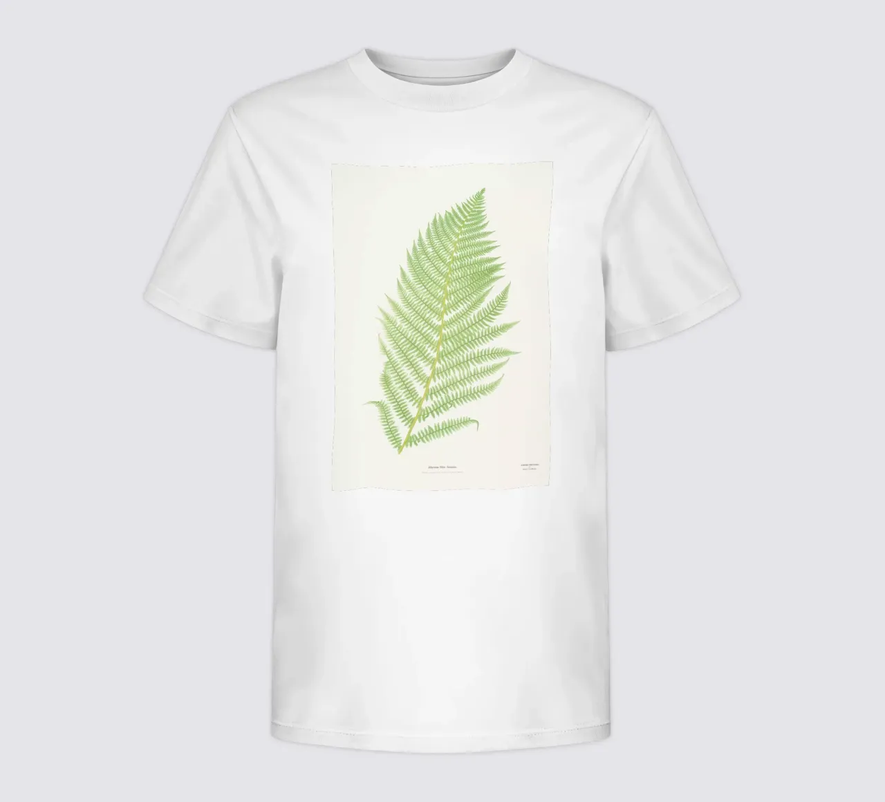 Ferns 2 kinder t-shirt van Astër