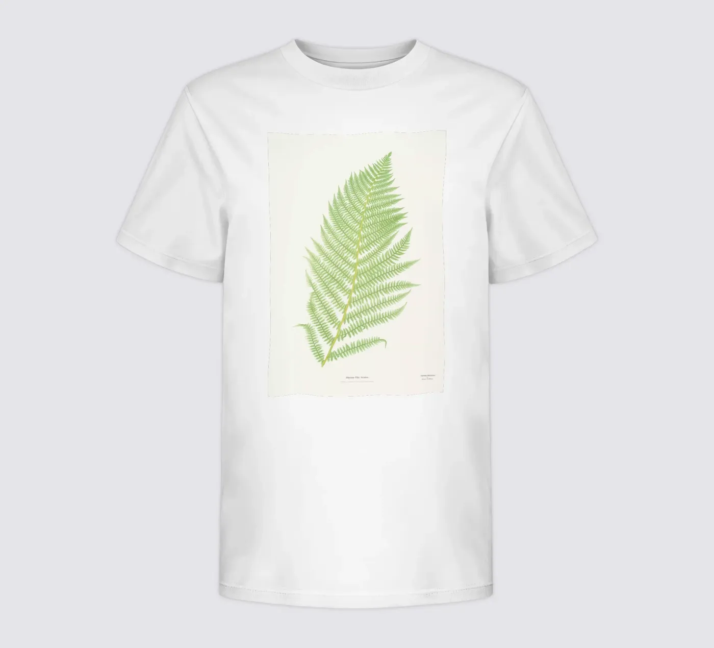 Ferns 2 t-shirt bambini da Astër