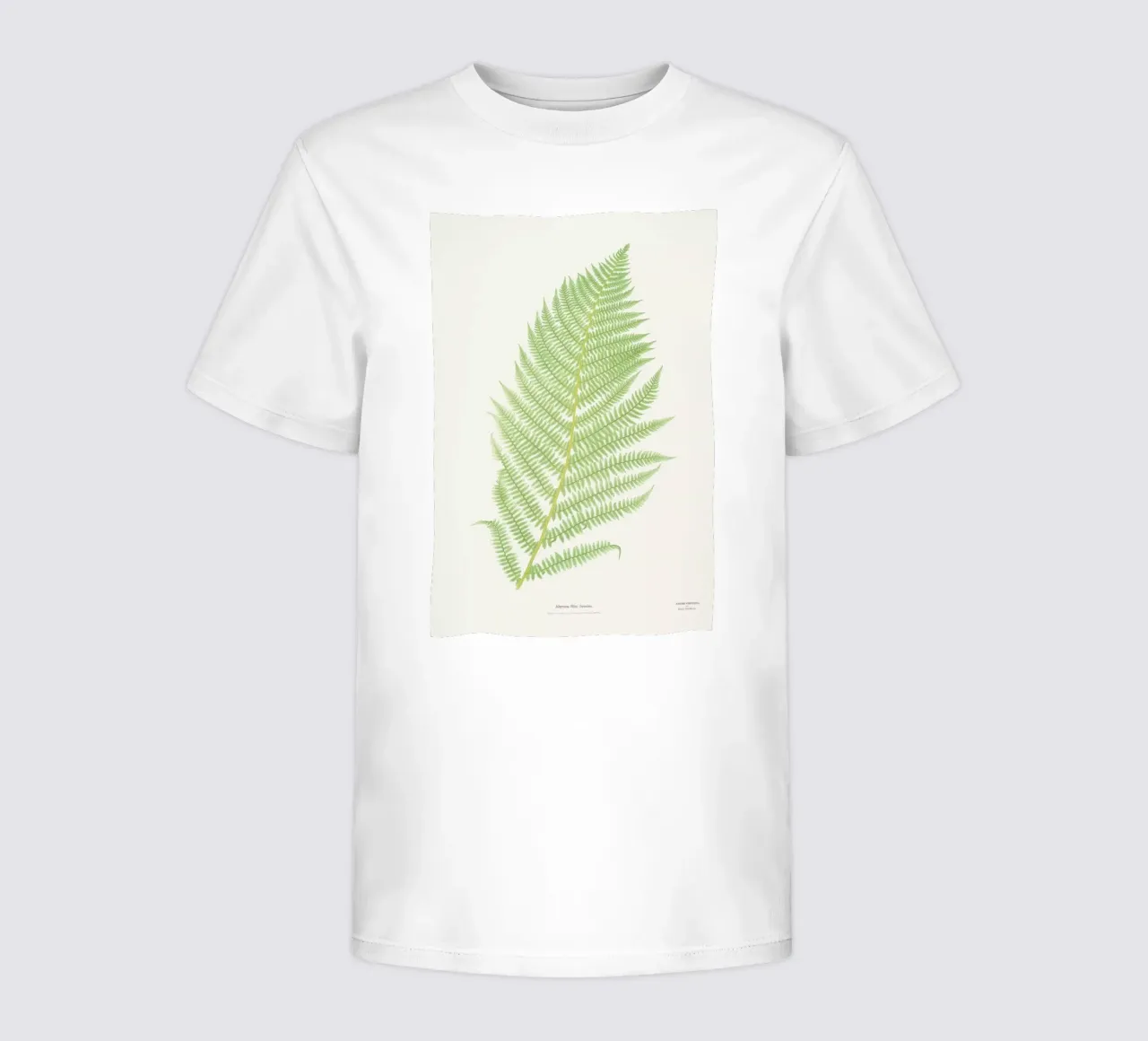 Ferns 2 kinder t-shirt van Astër