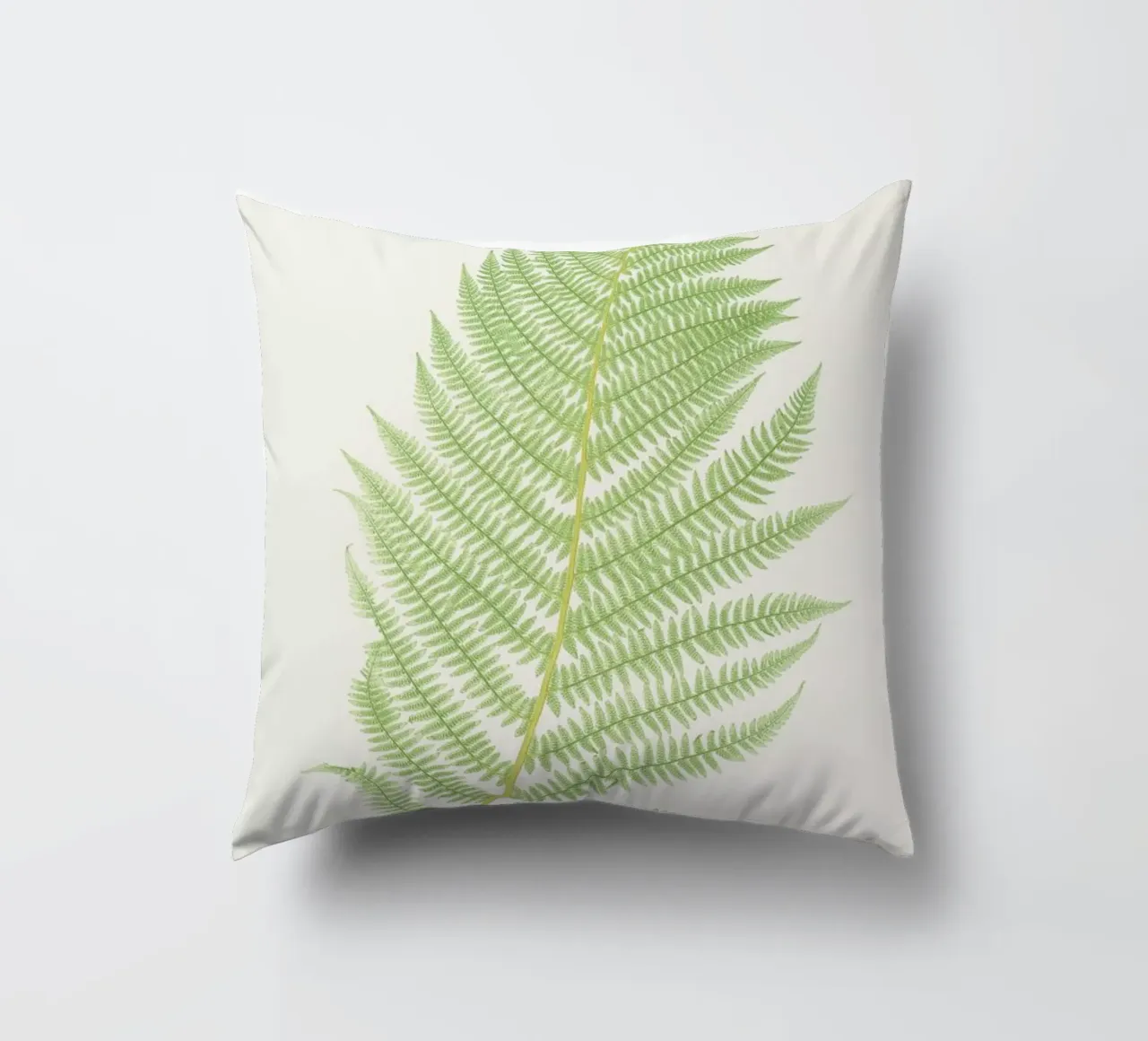 Ferns 2 cuscino da Astër