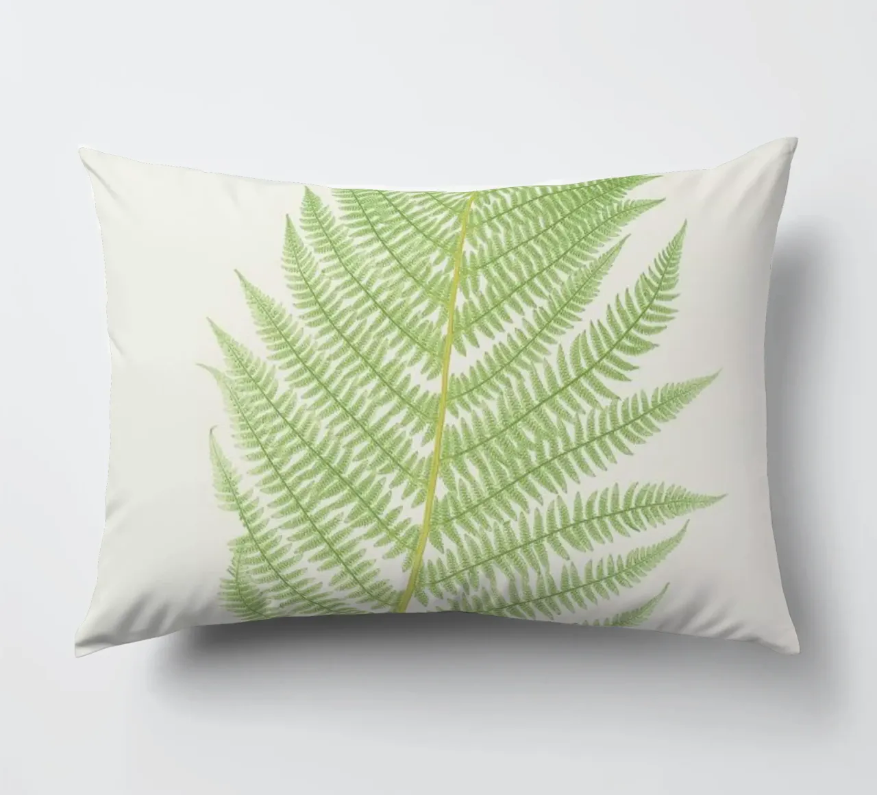 Ferns 2 cuscino da Astër