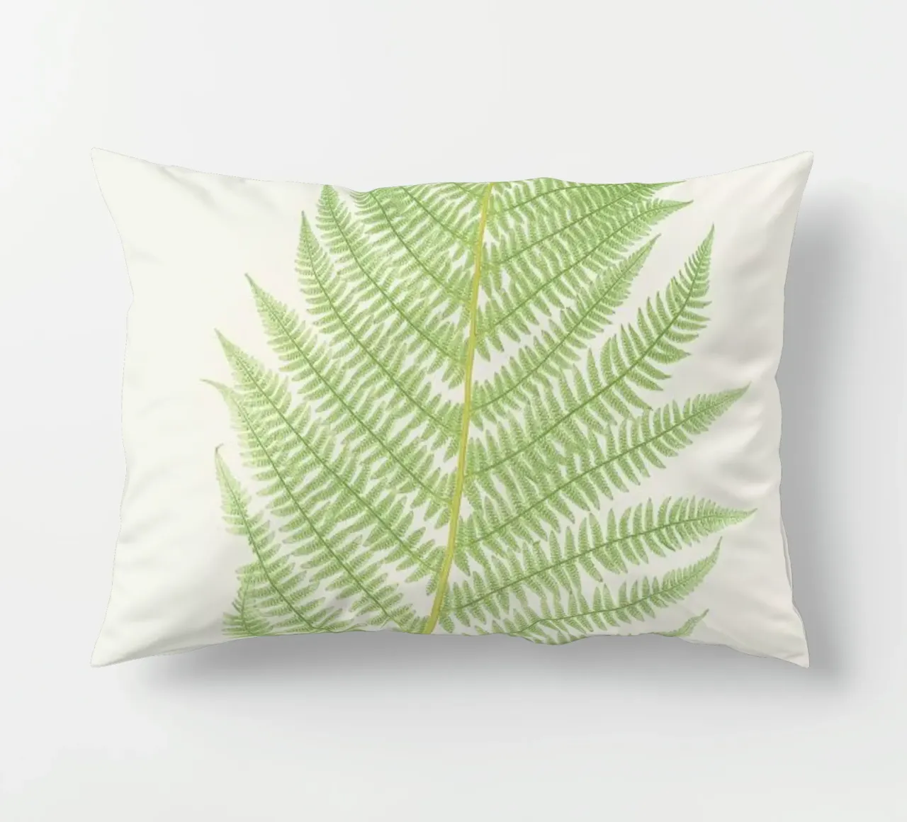 Ferns 2 cuscino da Astër
