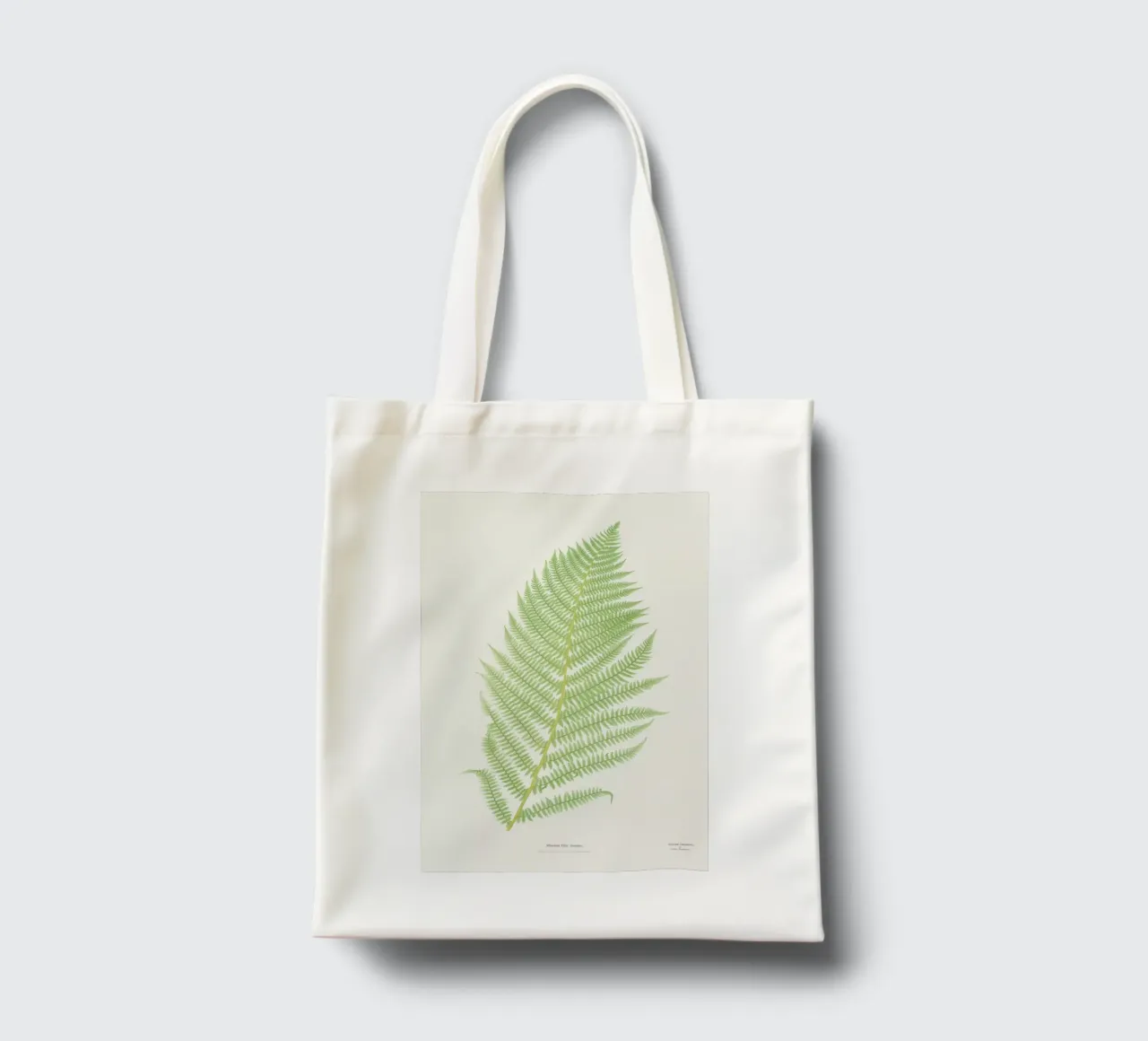 Ferns 2 borsa in juta da Astër