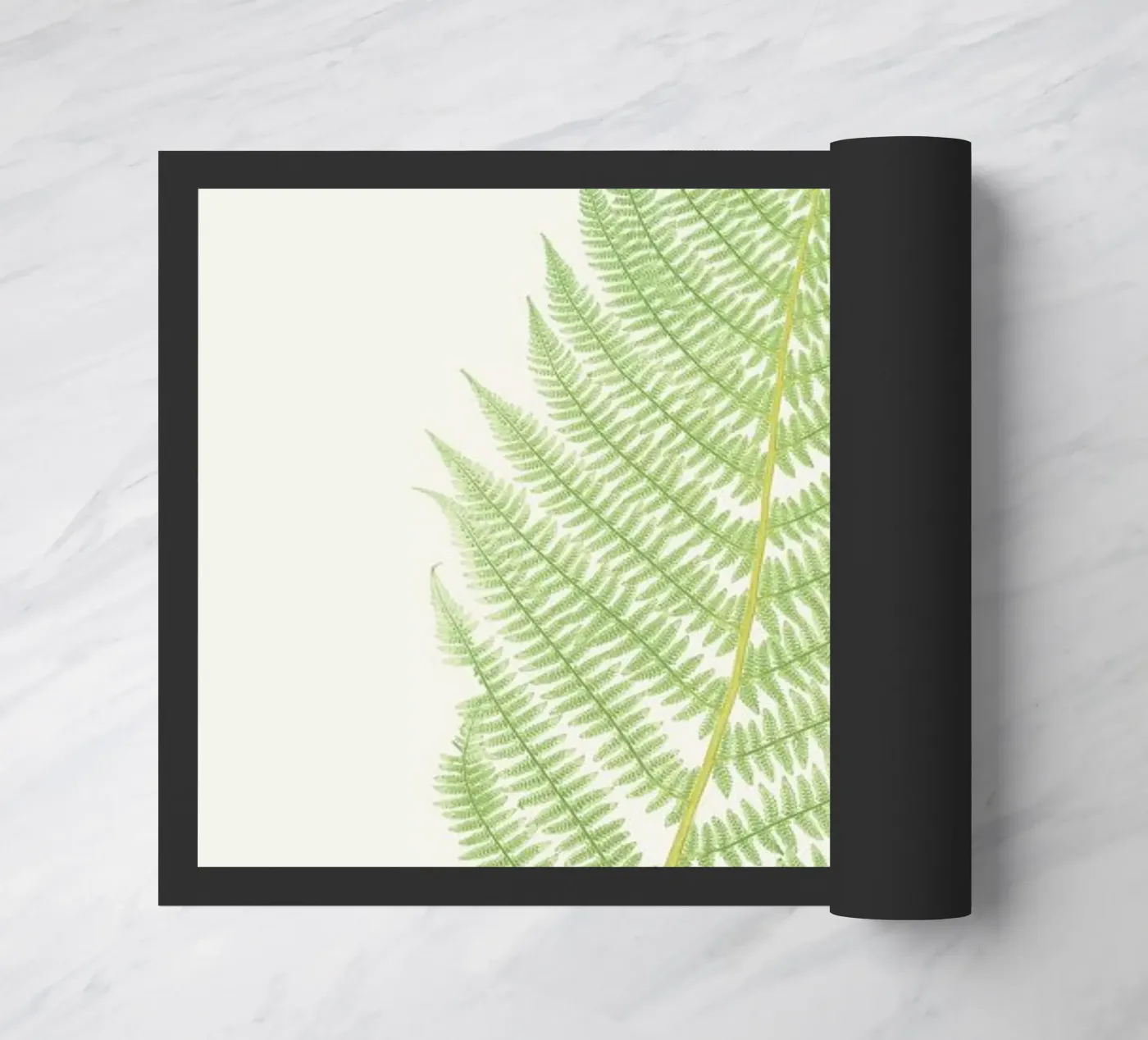 Ferns 2 deurmat van Astër