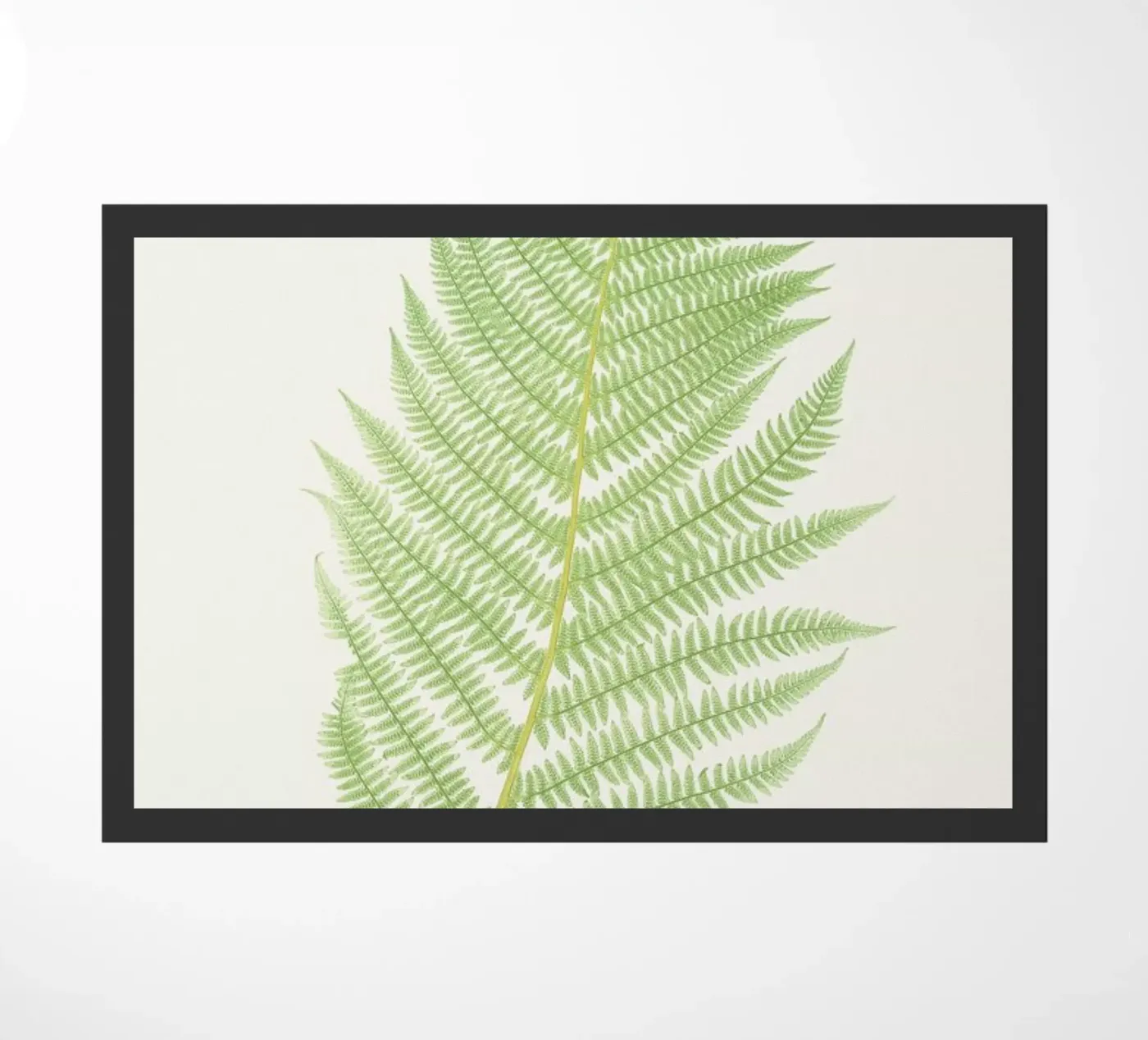 Ferns 2 deurmat van Astër