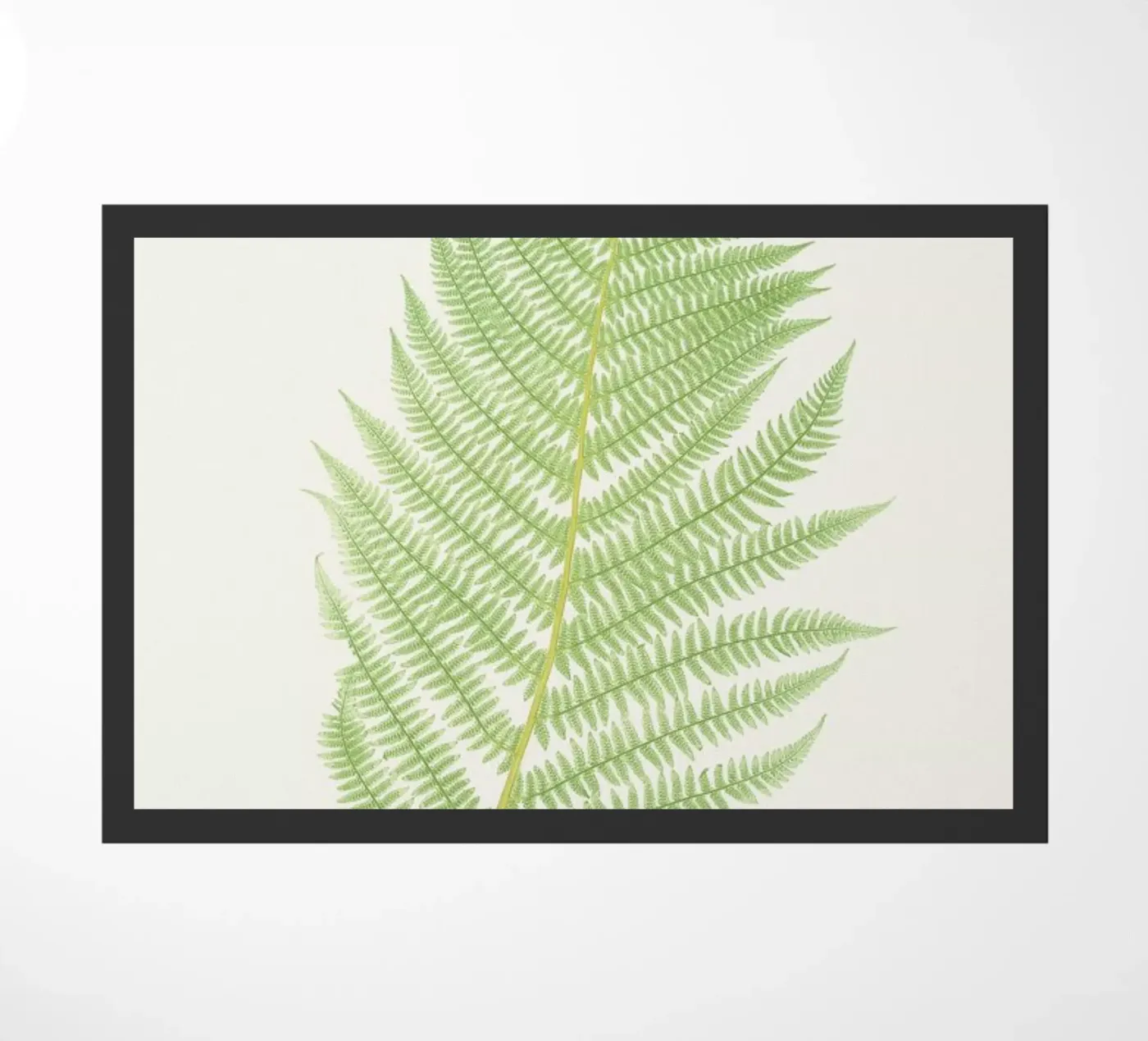 Ferns 2 Fußmatte von Astër