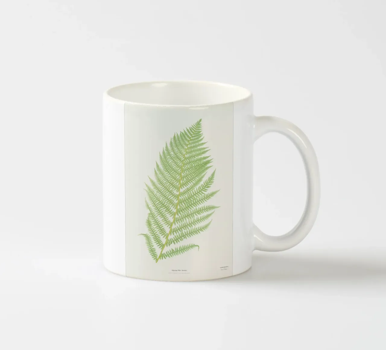 Ferns 2 tazza in ceramica da Astër