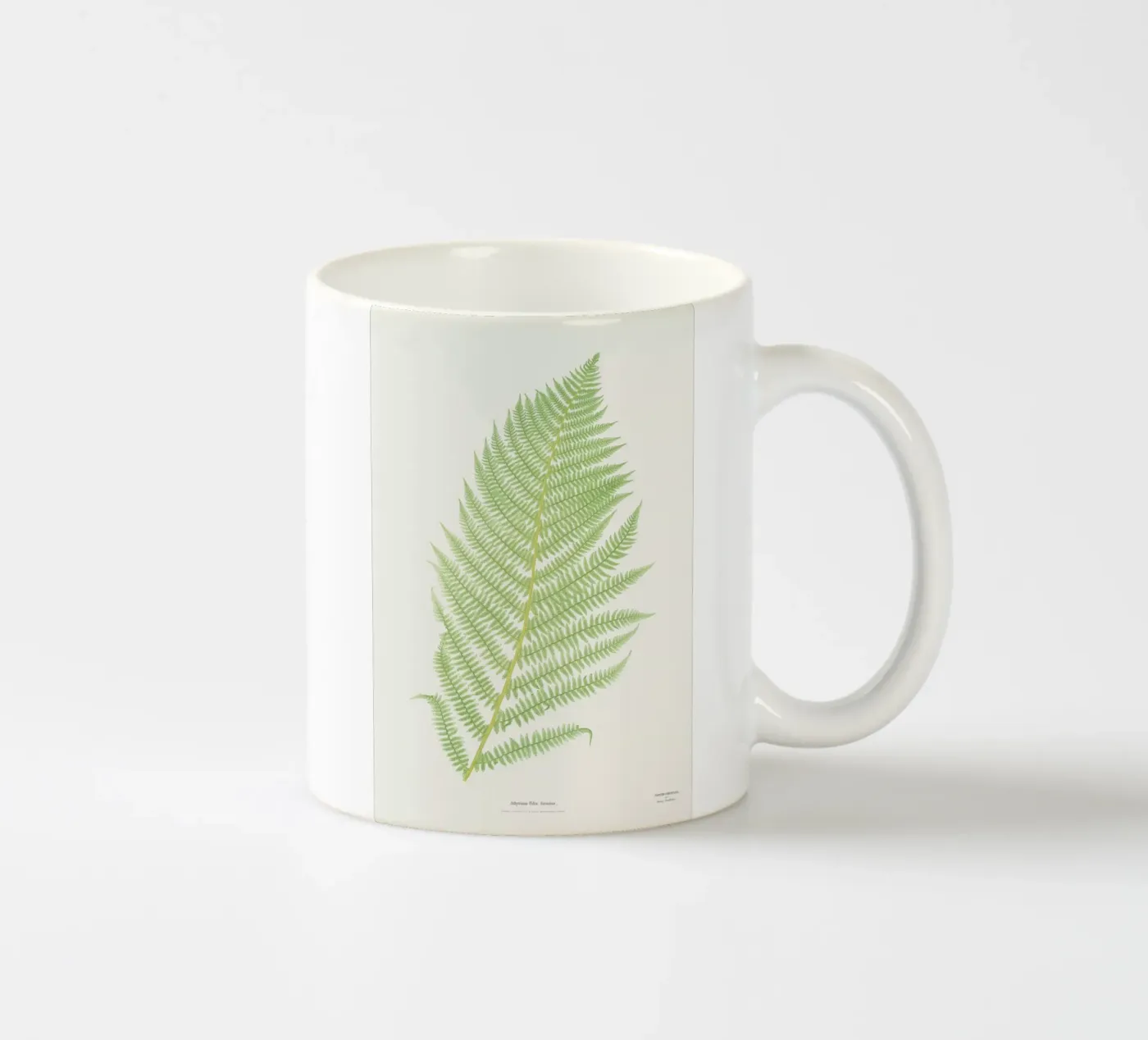 Ferns 2 ceramic mug by Astër