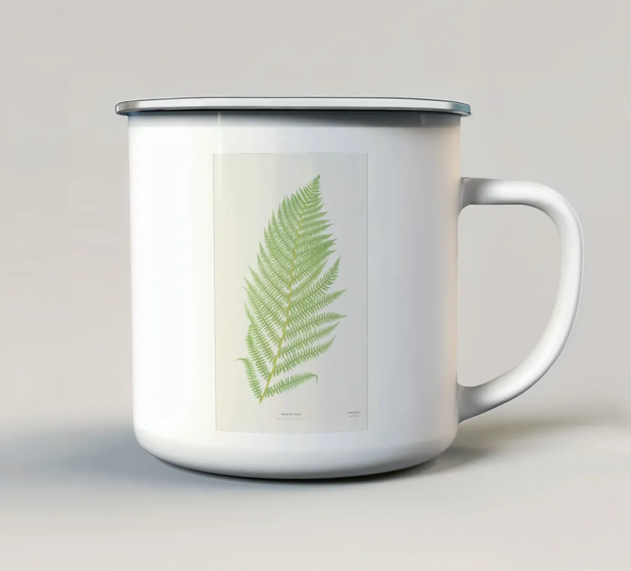 Ferns 2 tazza in smalto da Astër