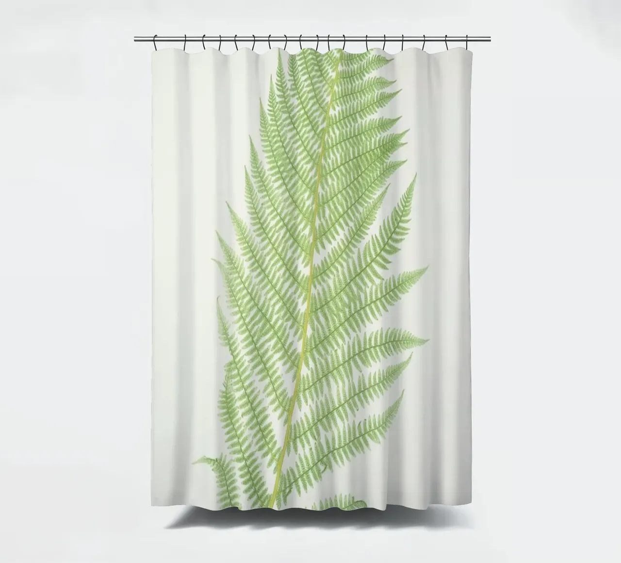 Ferns 2 tenda da doccia da Astër