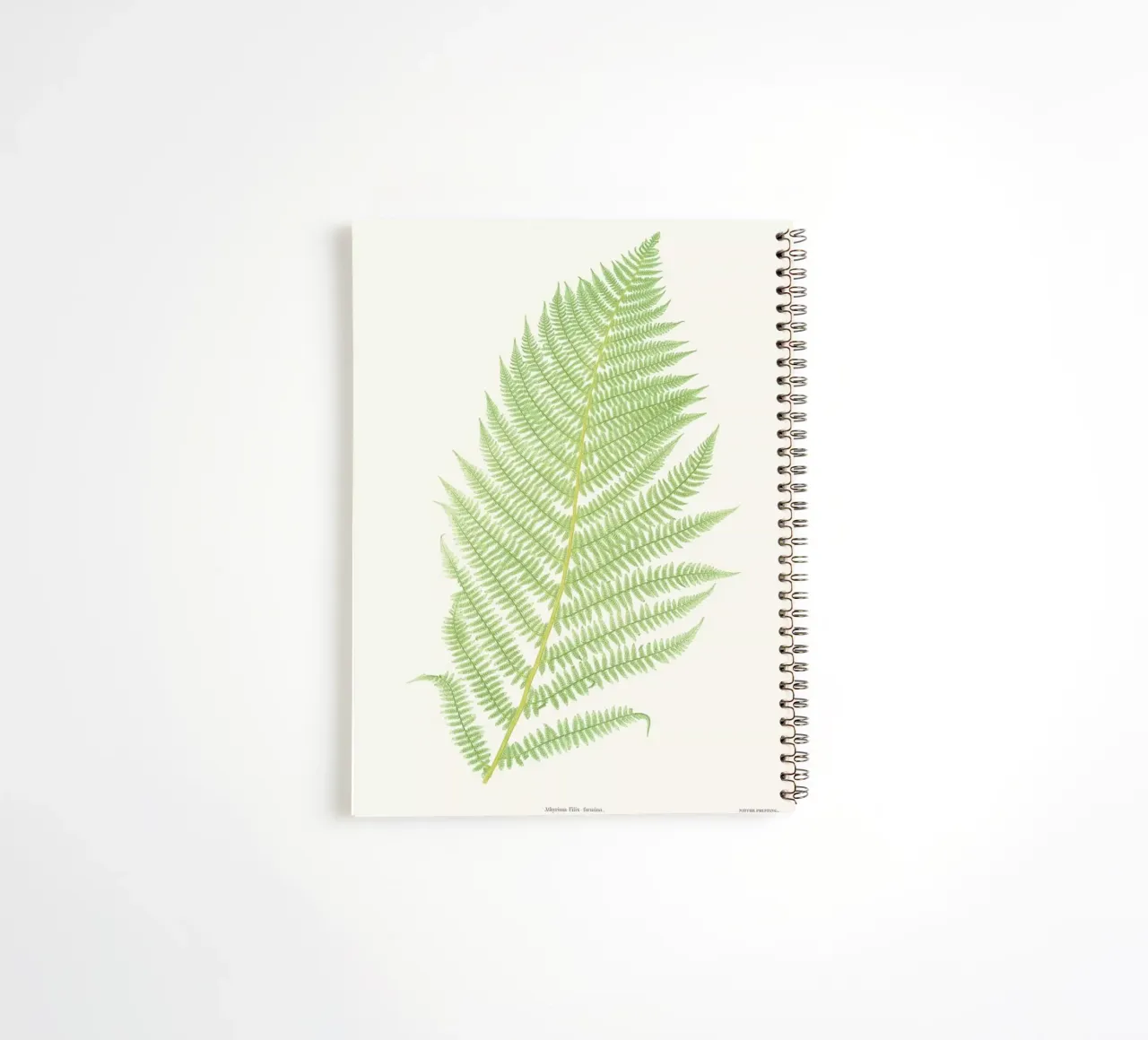 Ferns 2 spiral notebook by Astër