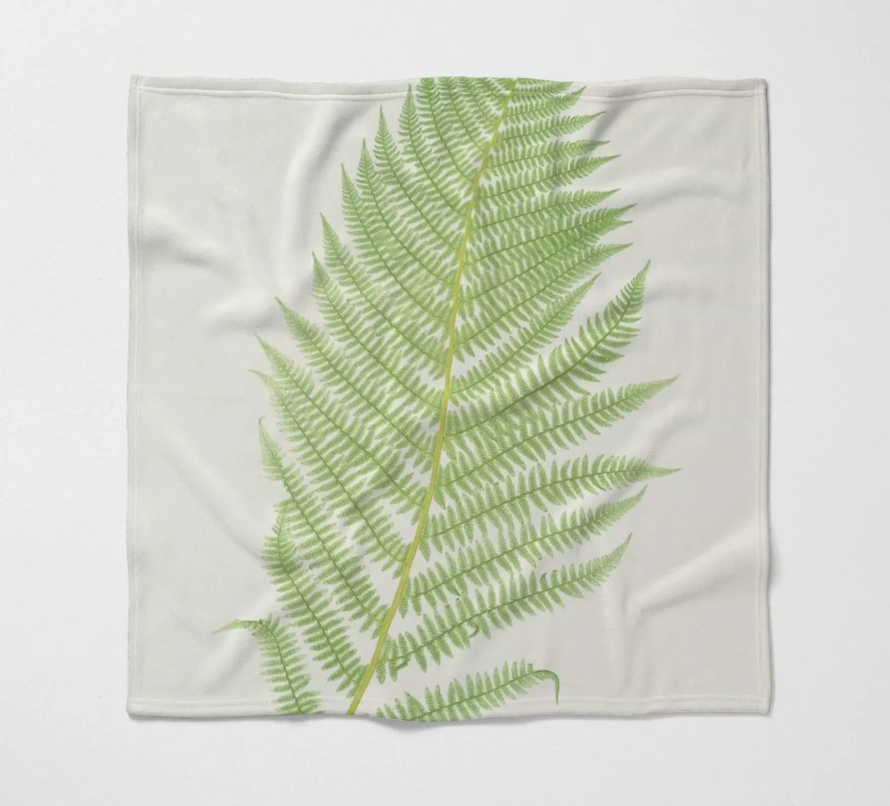 Ferns 2 coperta in pile da Astër