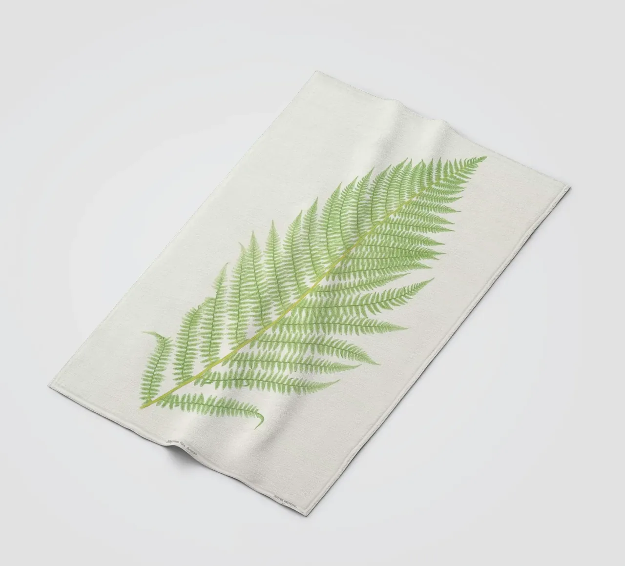 Ferns 2 coperta in pile da Astër