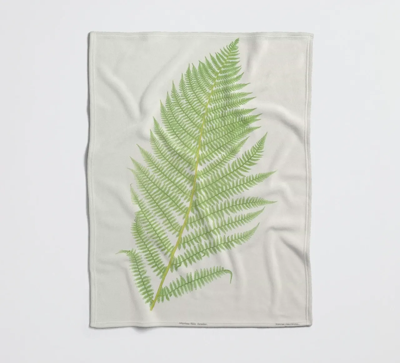 Ferns 2 coperta in pile da Astër