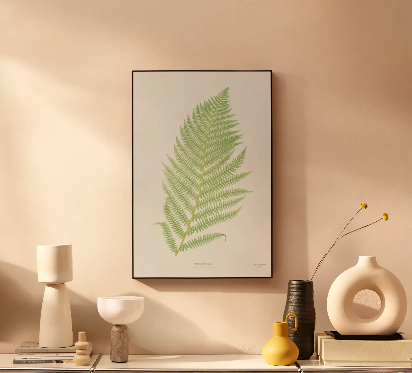 Ferns 2 plexiglass da Astër