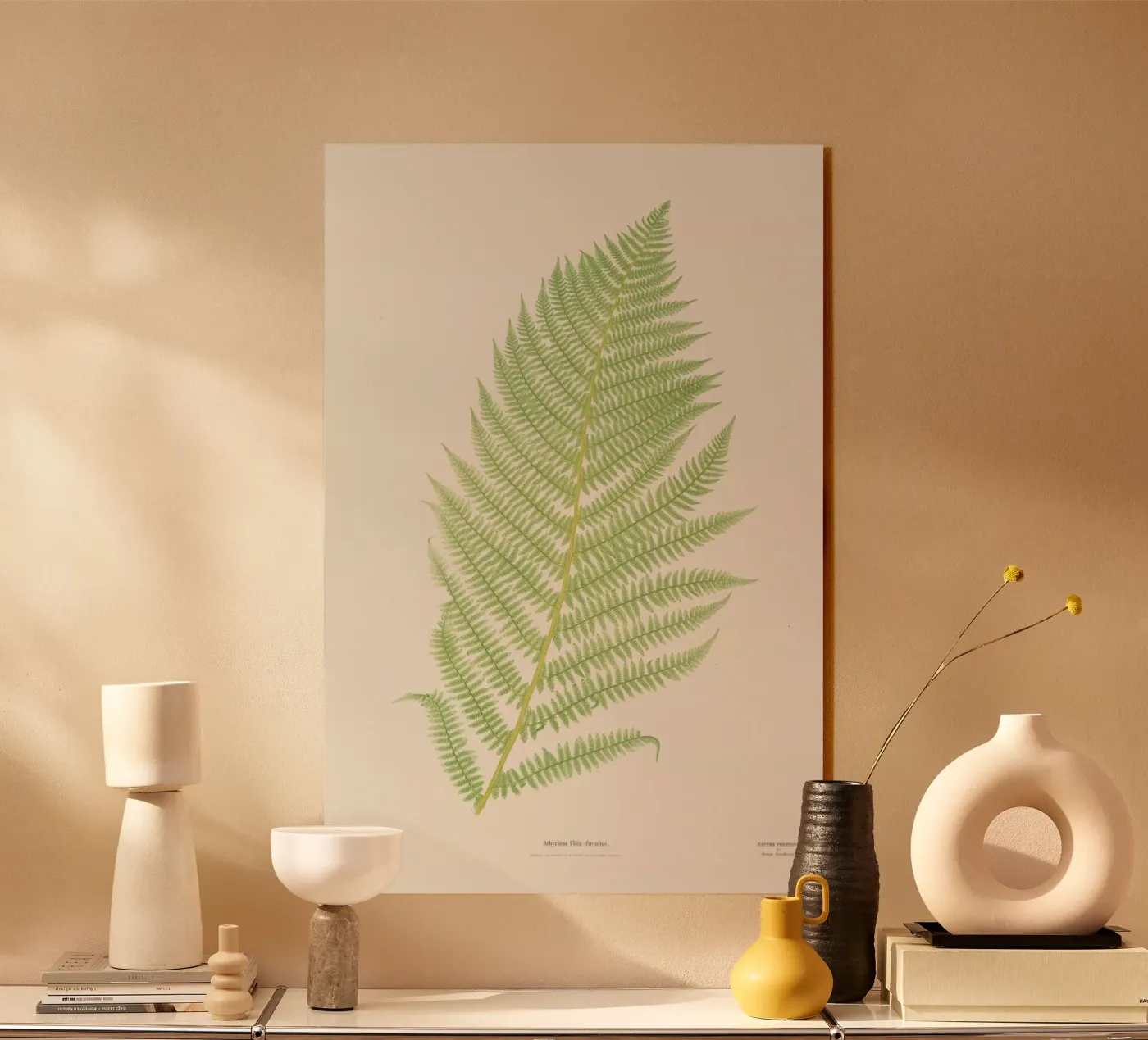 Ferns 2 plexiglass da Astër