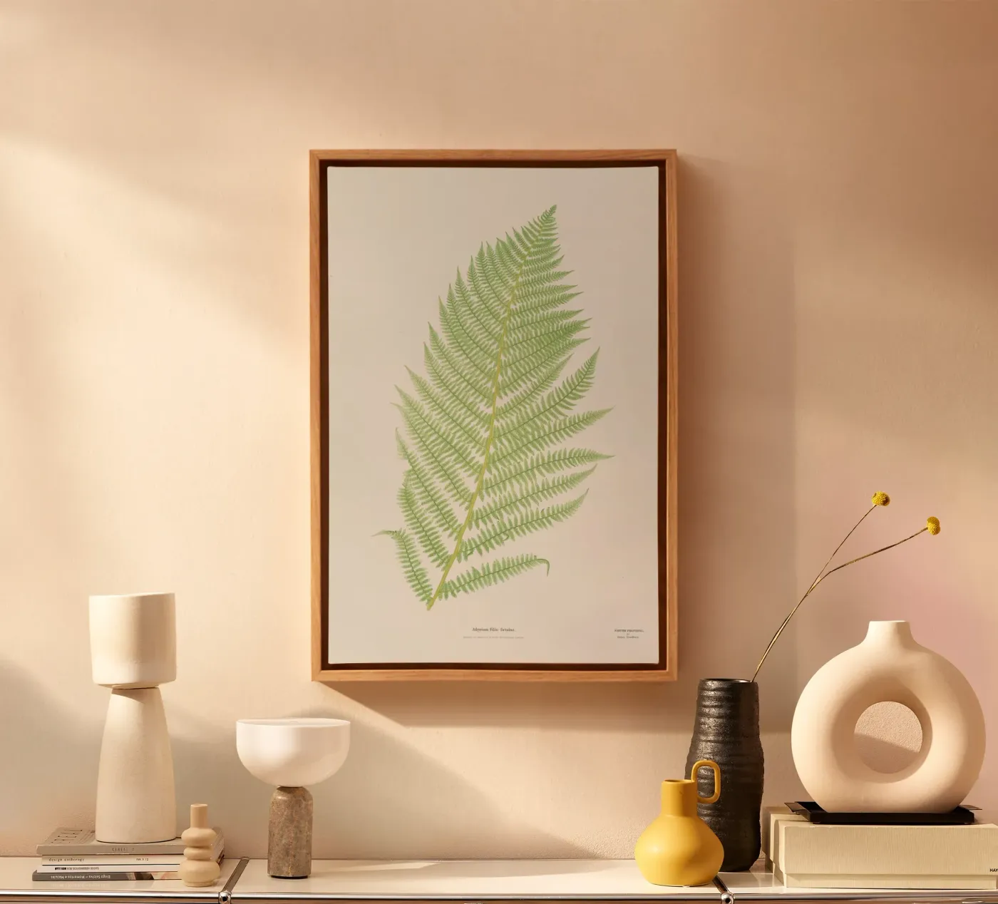 Ferns 2 tela da Astër