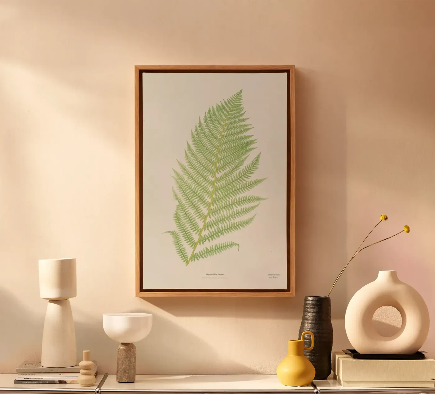 Ferns 2 tela da Astër