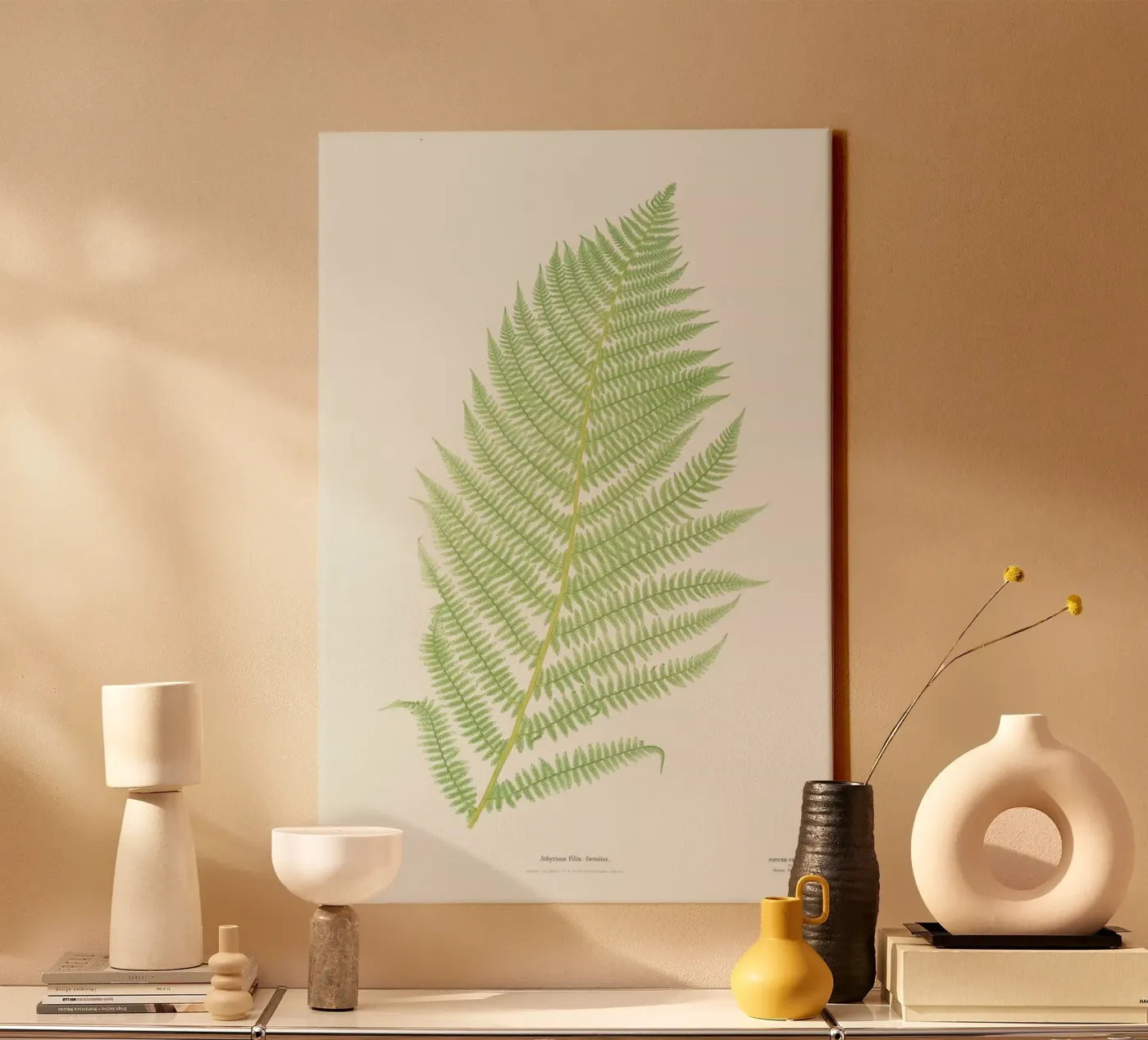 Ferns 2 tela da Astër