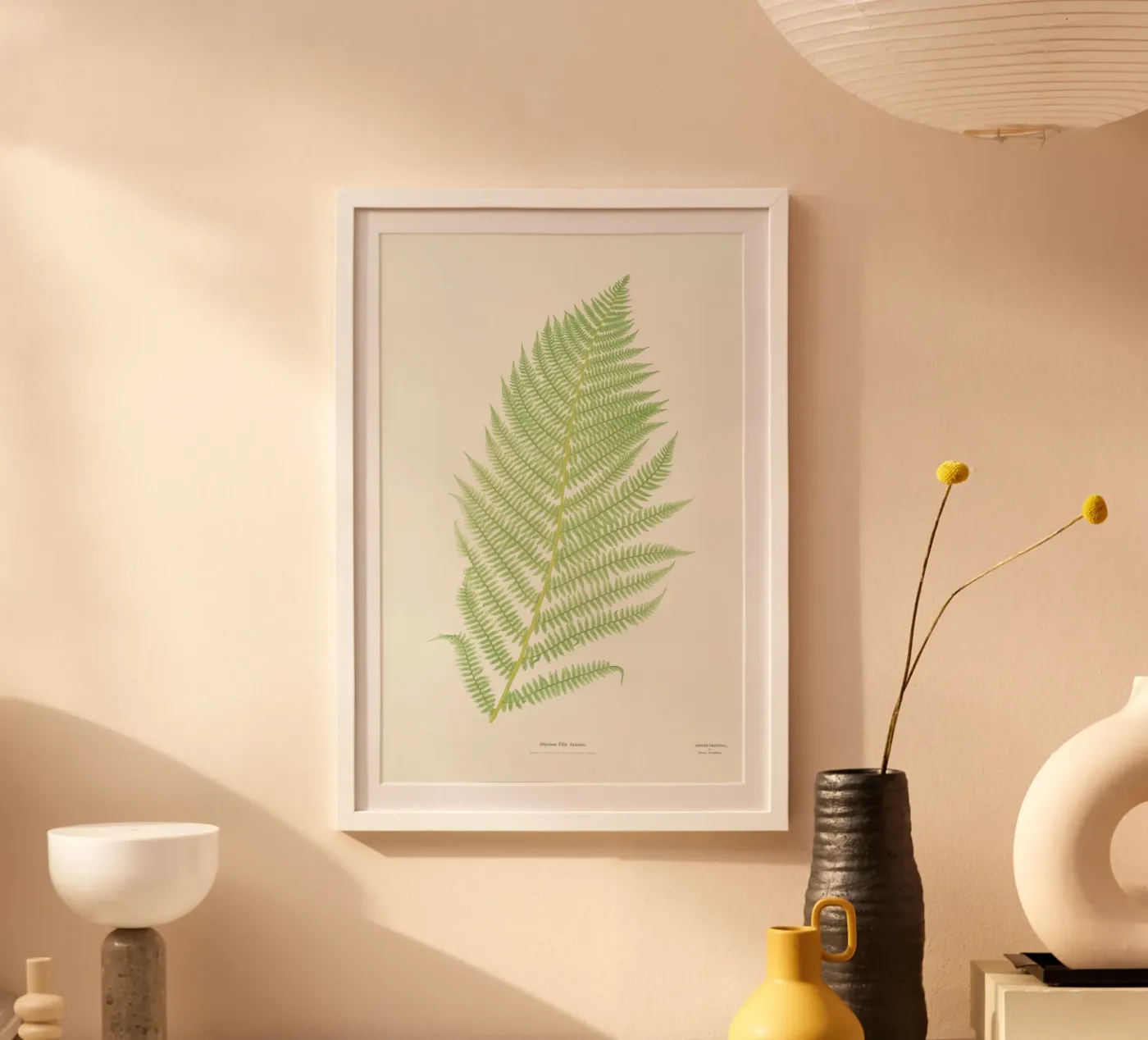 Ferns 2 poster by Astër
