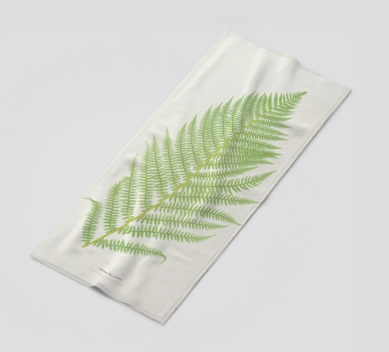 Ferns 2 telo mare da Astër