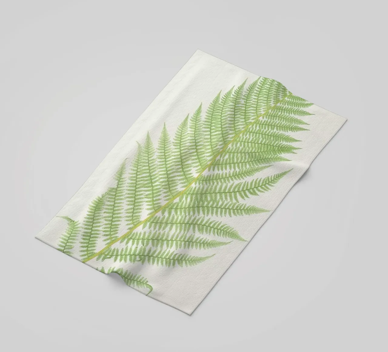 Ferns 2 telo mare da Astër