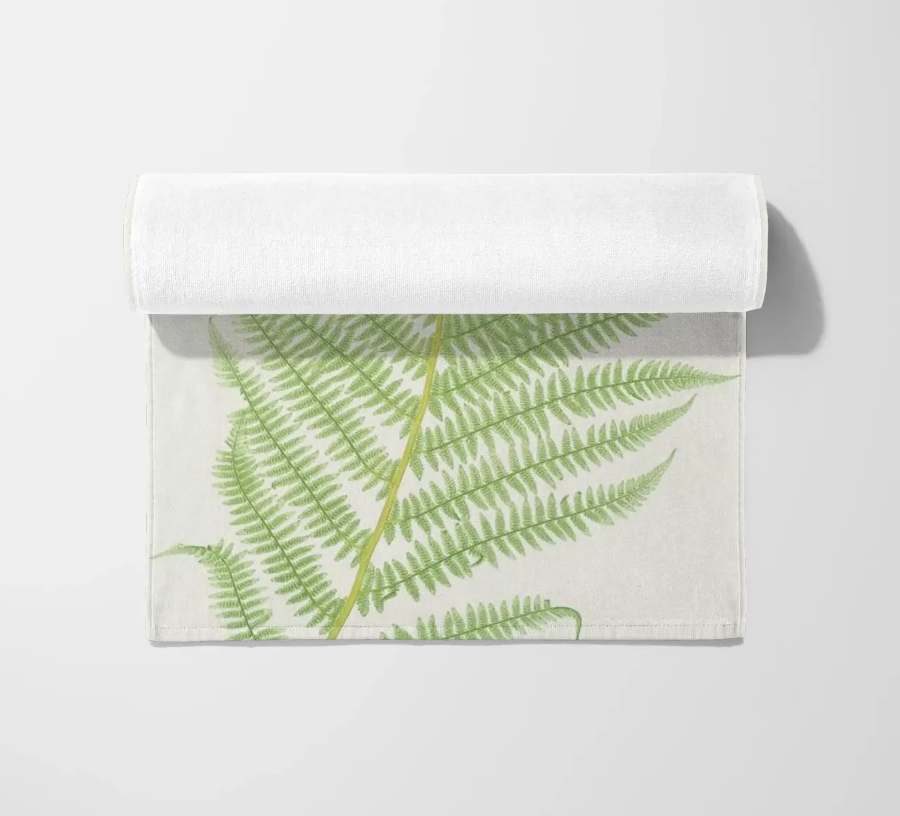 Ferns 2 telo mare da Astër