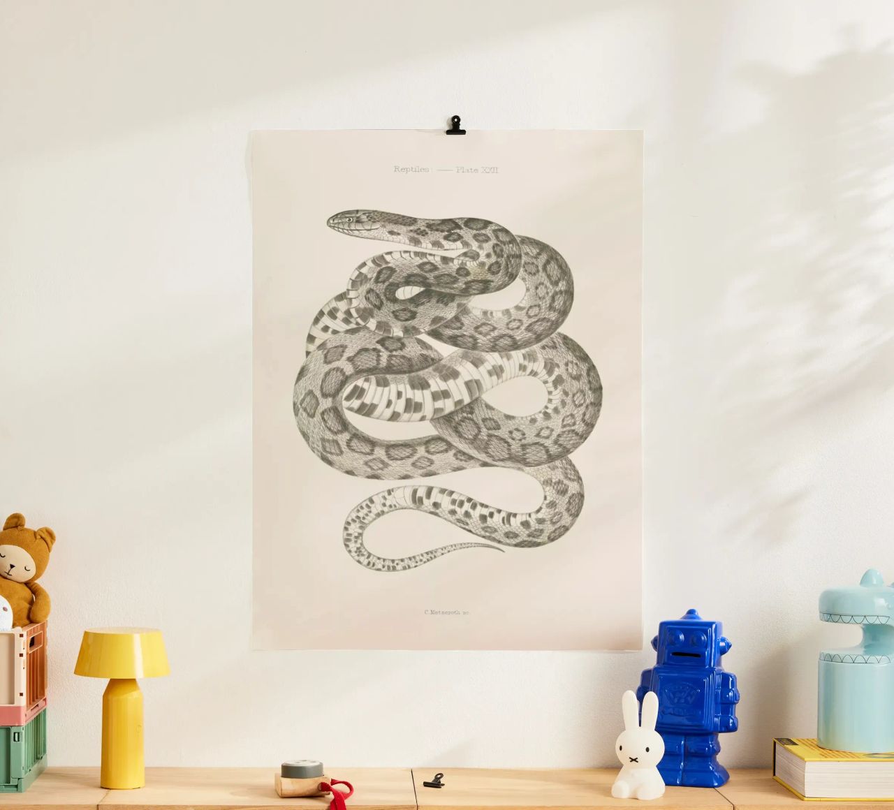 Reptiles - Plate XXII Poster von Astër