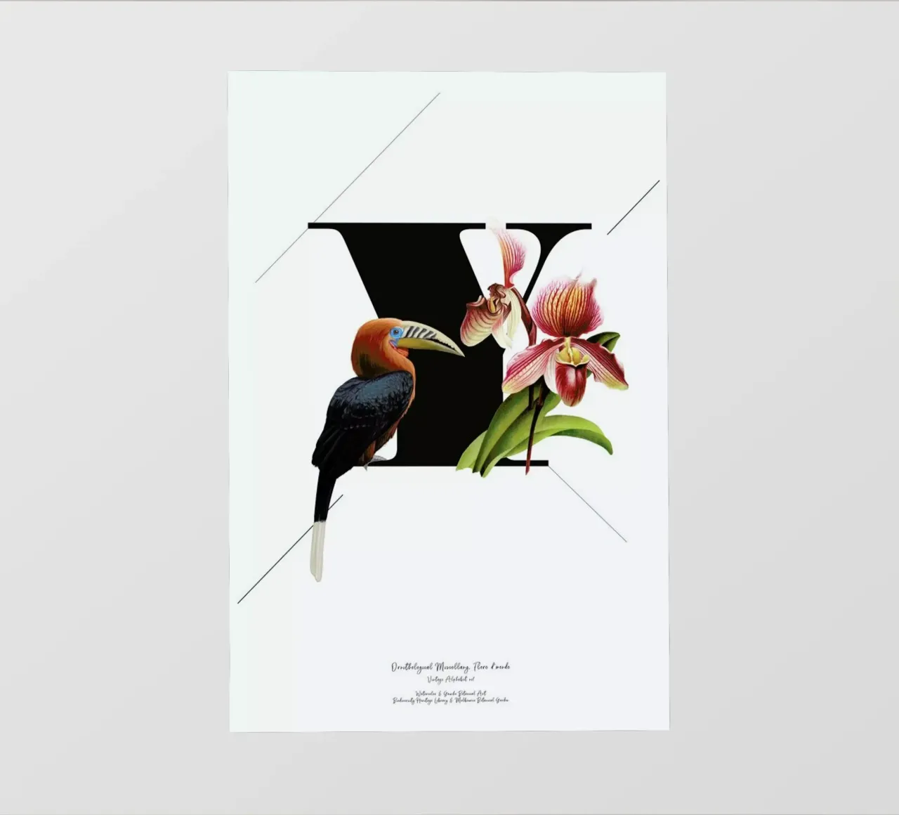 Botanical Alphabet - Y pellicola backlit da Froilein Juno