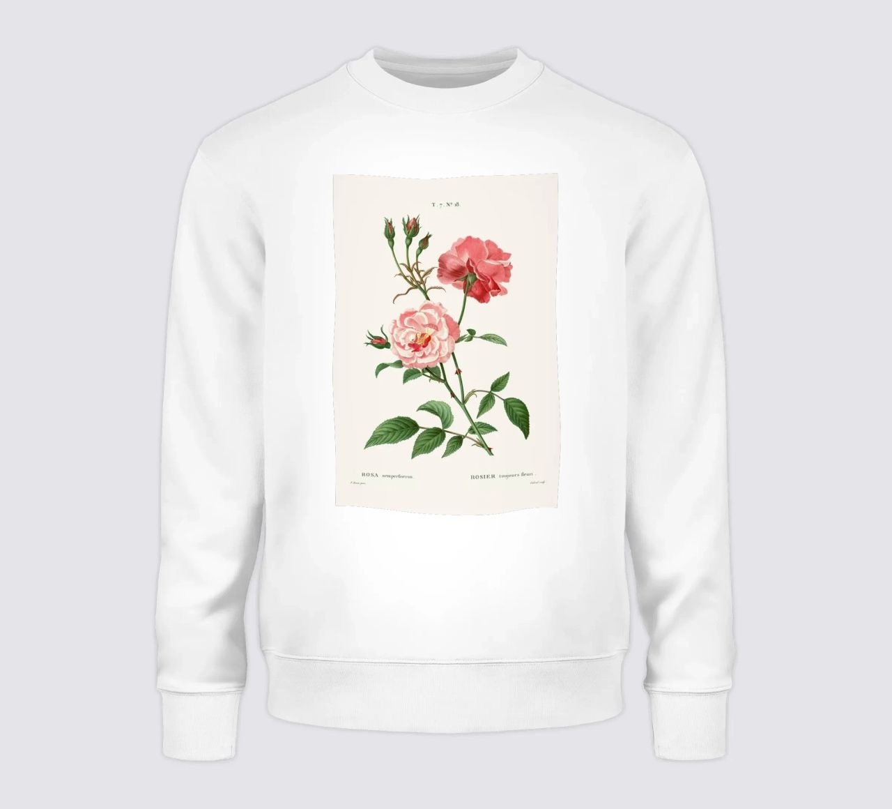 Rosier - Toujours Fleuri sudadera de Astër