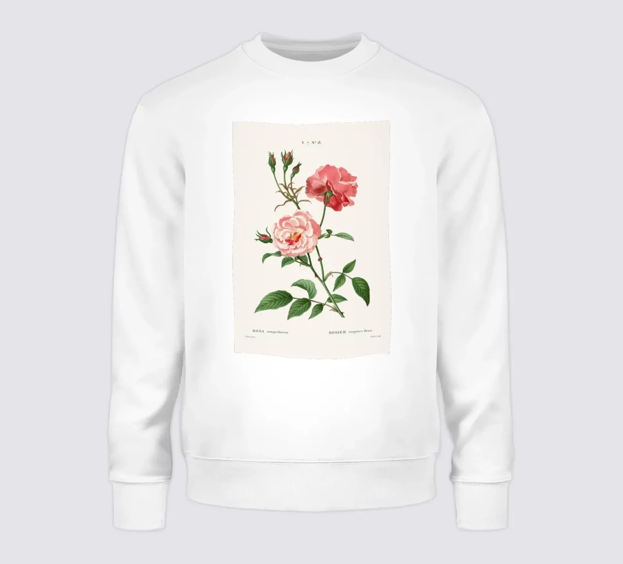Rosier - Toujours Fleuri felpa da Astër