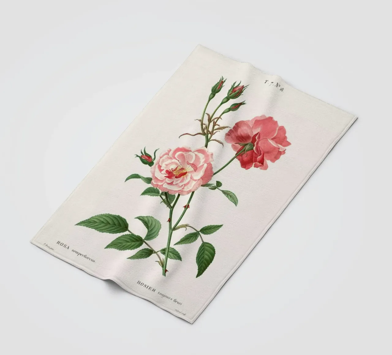 Rosier - Toujours Fleuri fleece blanket by Astër