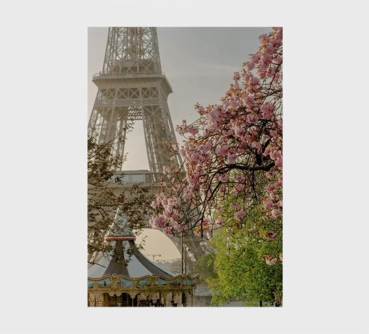 Cherry Blossom notebook by Magdalena Martin Photography