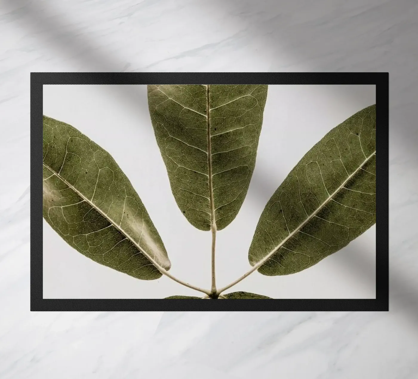 Autum Leaf zerbino da Shot By Clint