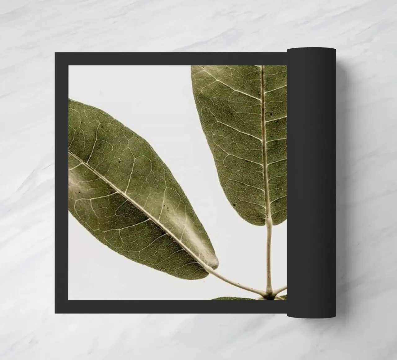 Autum Leaf zerbino da Shot By Clint