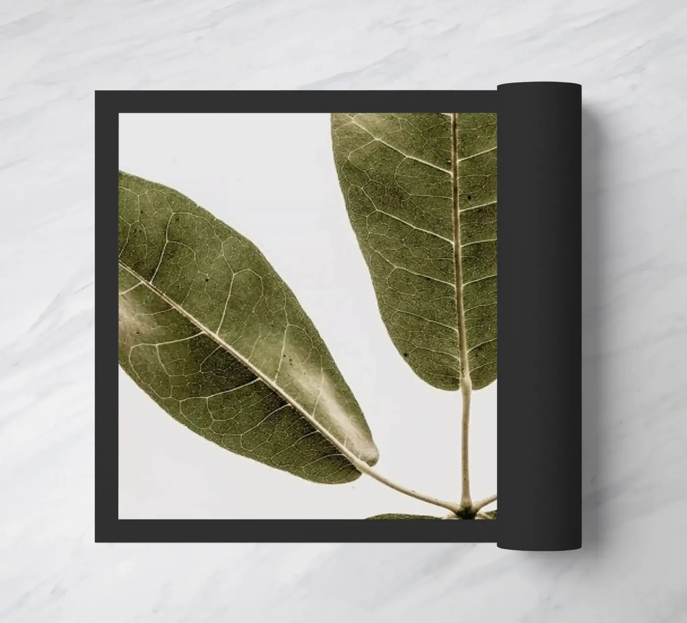 Autum Leaf zerbino da Shot By Clint