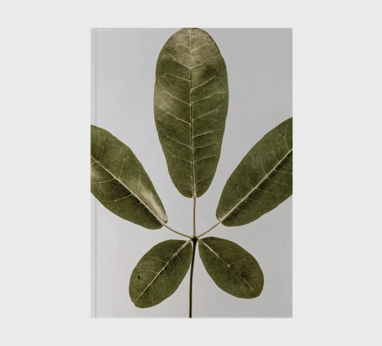 Autum Leaf notebook by Shot By Clint