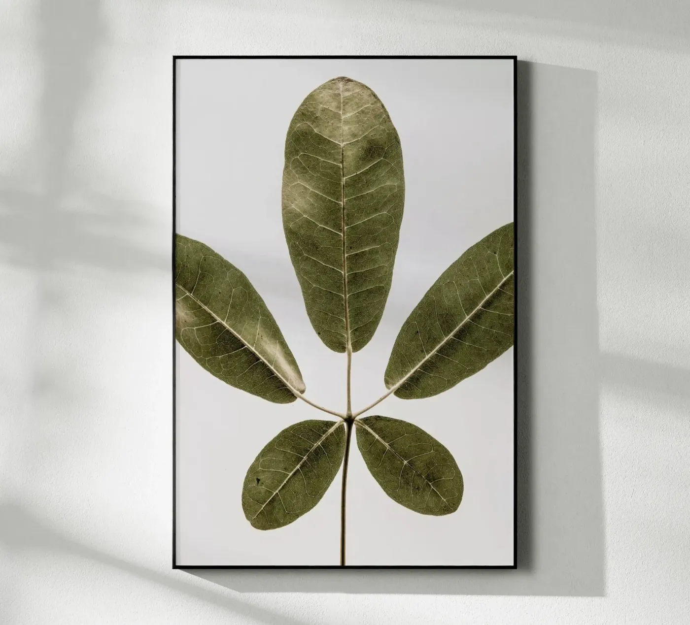 Autum Leaf plexiglass da Shot By Clint