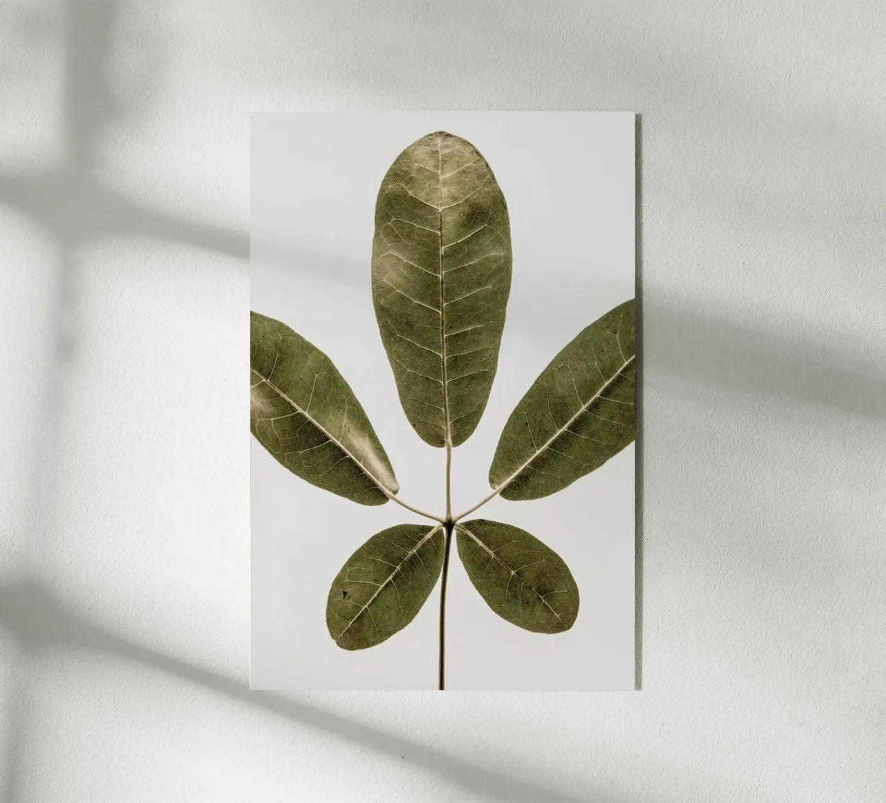 Autum Leaf plexiglass da Shot By Clint