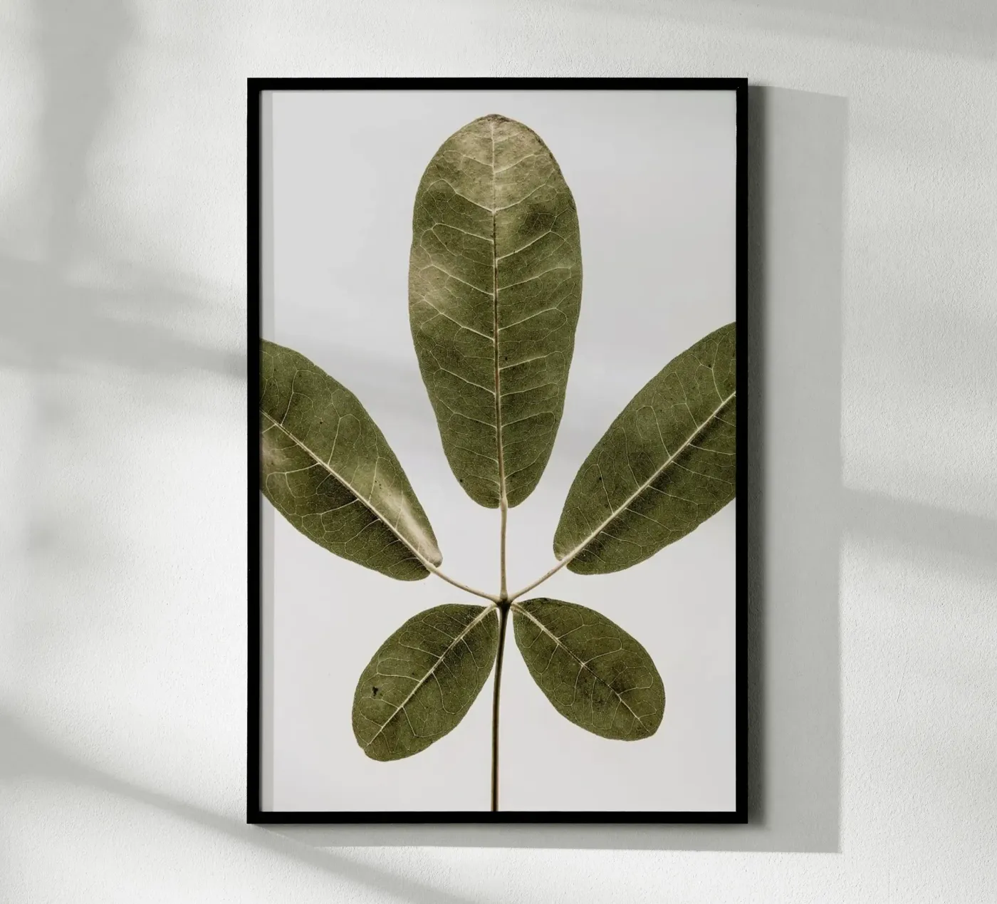 Autum Leaf poster da Shot By Clint