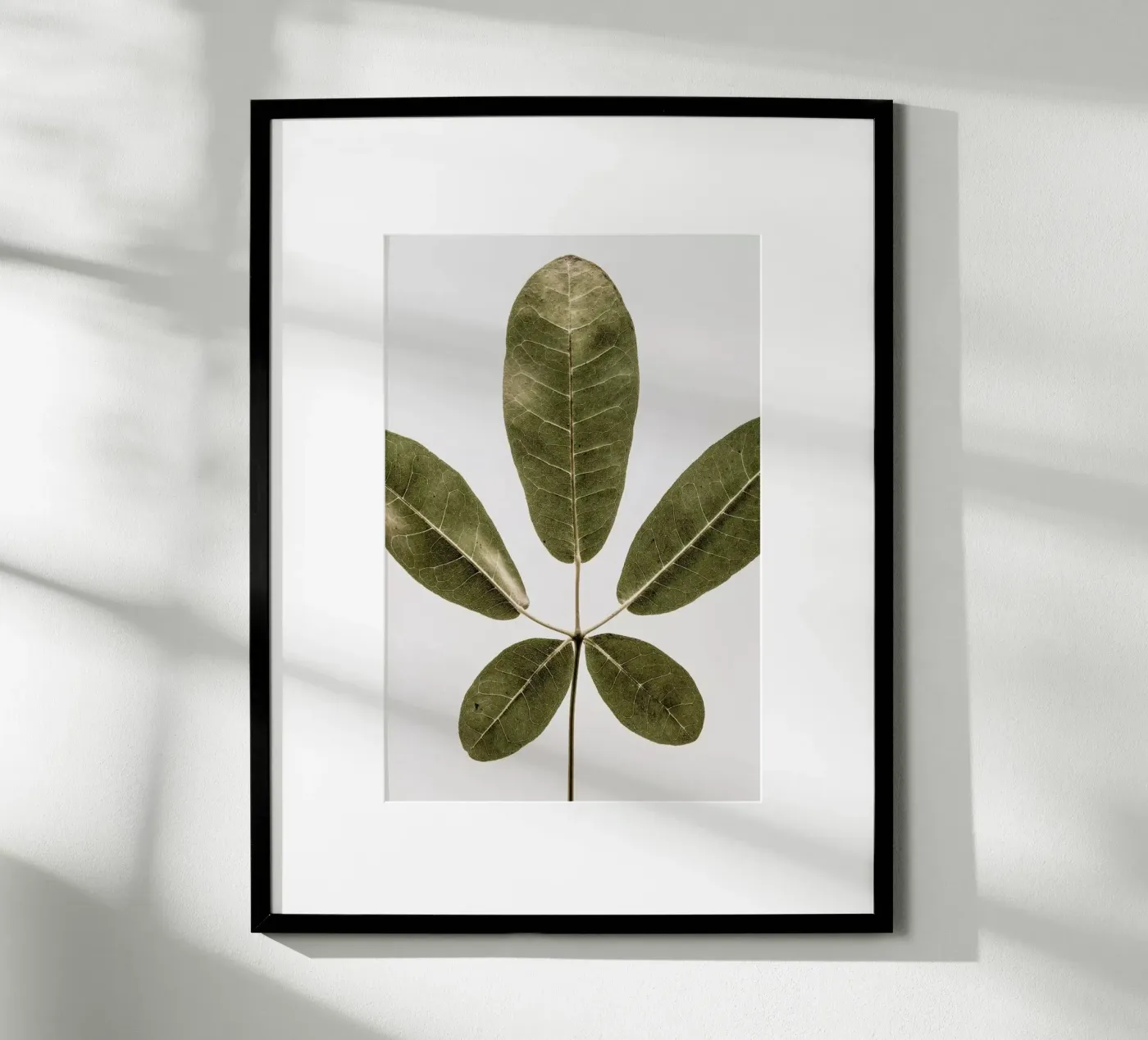 Autum Leaf poster da Shot By Clint